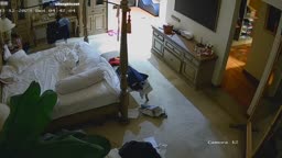 IPCAM Video 17