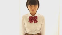 Ⅳ