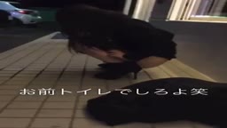 素人
