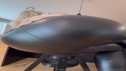 Gassy Josie 42