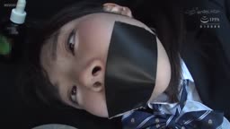 肉便器シリーズ