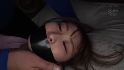 肉便器シリーズ