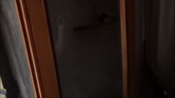 Amateur Blonde Babe's Rough Sex in Venice