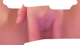 梨花8