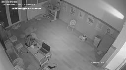 İpcam