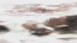 保管