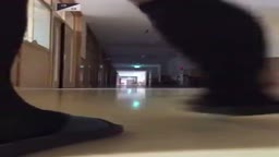 校内露出