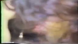 寝取られ