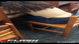 encoxada compilation