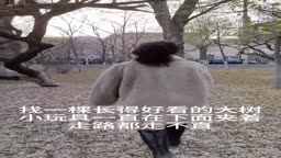 露出