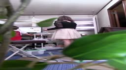 パンチラ