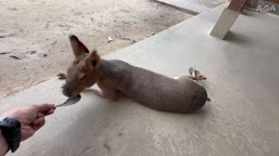 押し付ける