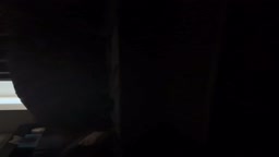 ハメ撮り