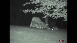 Horny Couple Ended Caught Having Sex in Park (Couple_Porn)