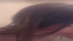 tk