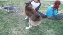 Buttcrack un the park
