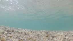 海