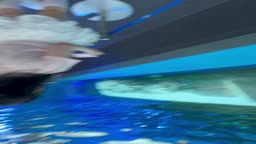 逆さ