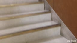 chikan