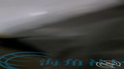 中華 義母を