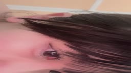 はいしん