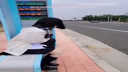 ディルド