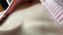 保管用