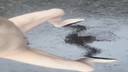 ガニ股