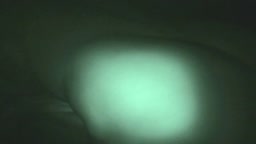Peepfox 954 今夜妻を犯しますvol.1