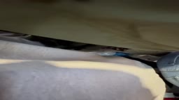 true encoxada while she bending over