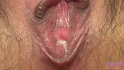 4037-384-4