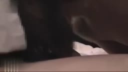 寝取らせ