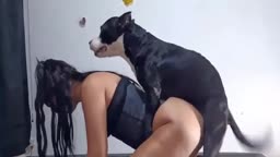 Oh My Dog (OMD)