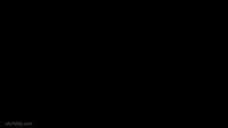 白石