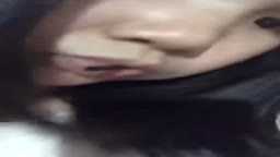 XD tu ub