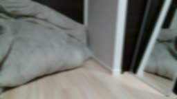 vtuber