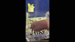 玲子 271
