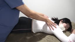 整体