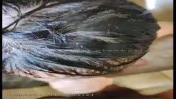 abg-crotin-di-mulut-adiknya-yg-masih-mp4.mp4
