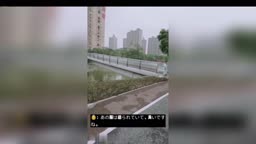露出236