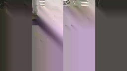 asian girlfriend blowjob