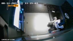 Ipcam Korea