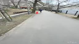野外