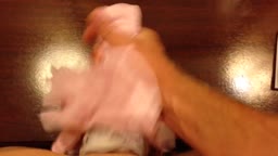 パンコキ 拾い5