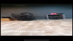 Cumidredra 4