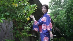 IV 着エロ