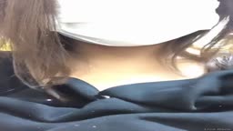 サンプル