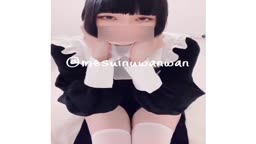 めすいぬ mesuinu