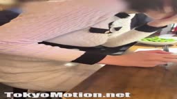篠