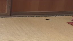 制服ハメ